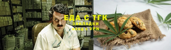 дурь Магас