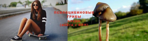 дурь Магас