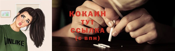 дурь Магас