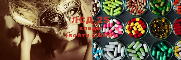 дурь Магас