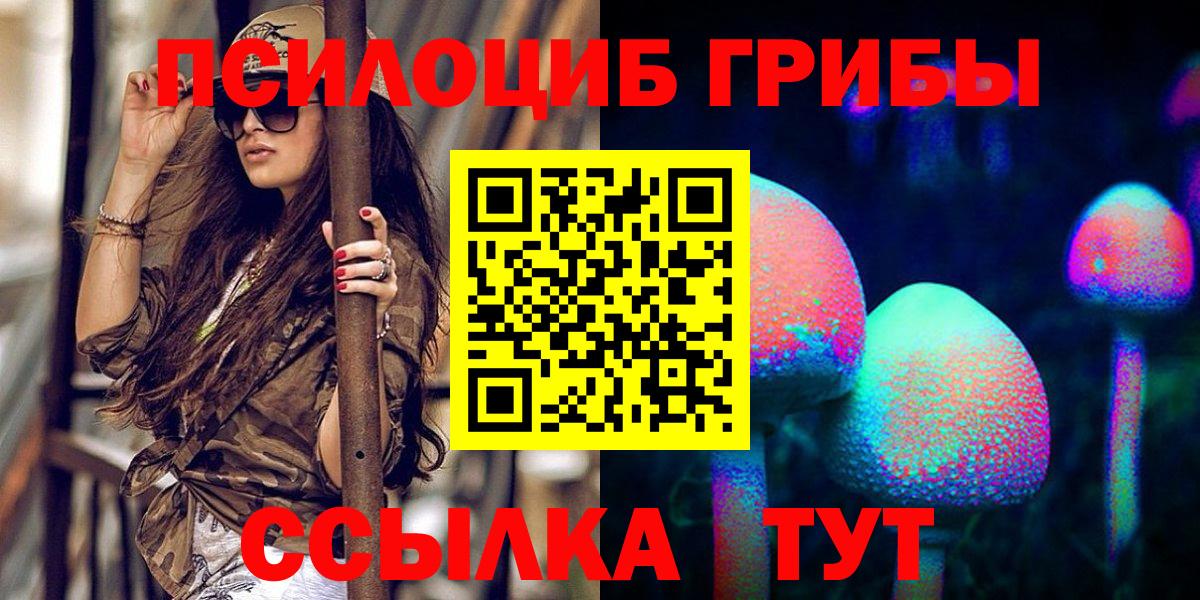 Псилоцибиновые грибы мицелий  Мурманск 