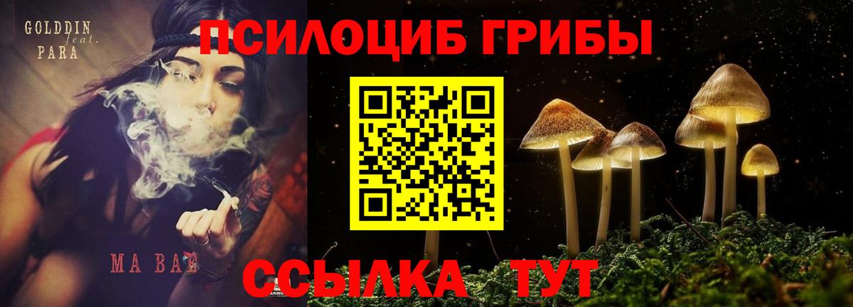 Галлюциногенные грибы мухоморы  Галлюциногенные грибы GOLDEN TEACHER  Вход с VPN  Мурманск 